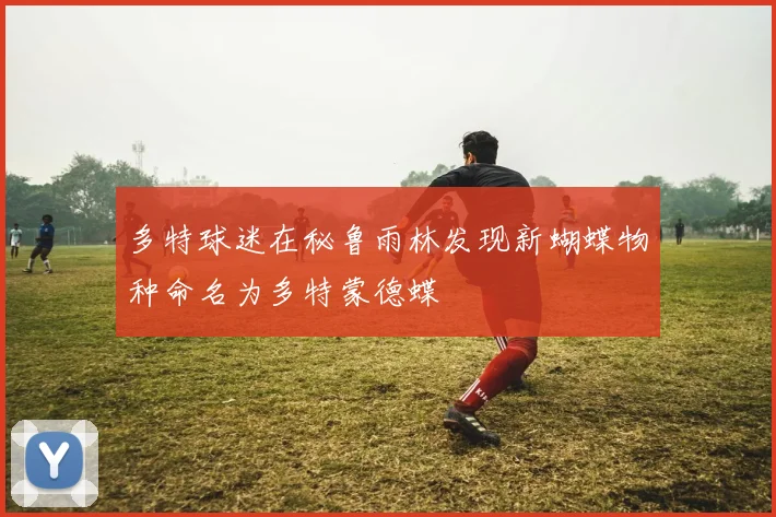 多特球迷在秘鲁雨林发现新蝴蝶物种命名为多特蒙德蝶