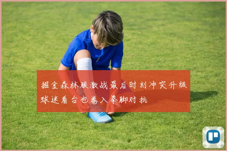 掘金森林狼激战最后时刻冲突升级球迷看台也卷入拳脚对抗